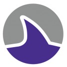 SS icon